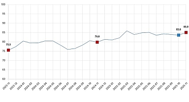 Tüketici Güven Endeksi, Kasım 2025